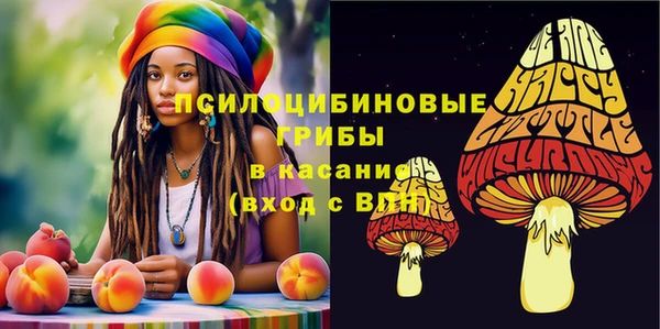 мдма Армянск